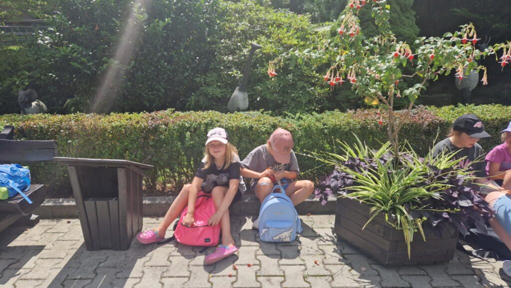 520237502 1247091197211359 224921318870918496 N