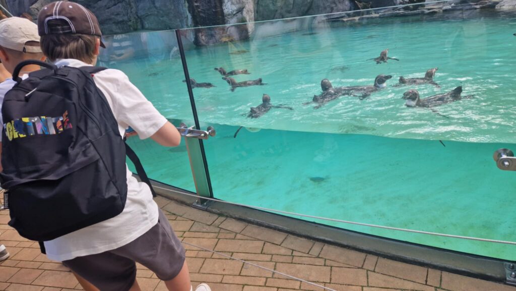 520989318 1247092047211274 4344283863933548611 N