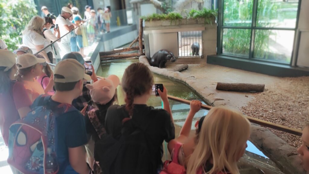 522482638 1247096763877469 5508061247958640705 N