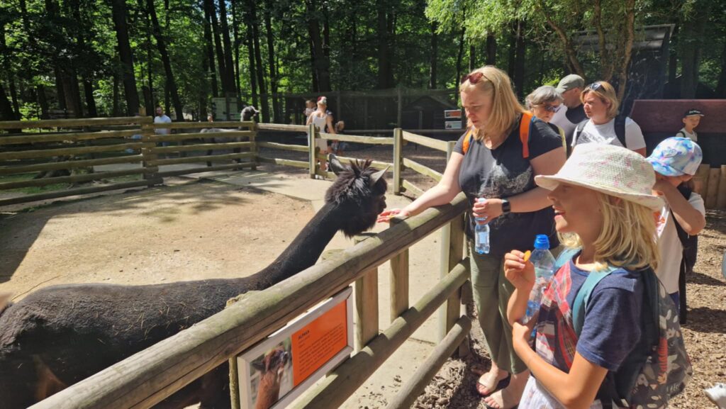 522881512 1247090283878117 5899858019900517934 N