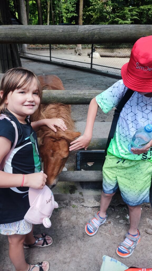 523333974 1247096610544151 4473842281200128186 N