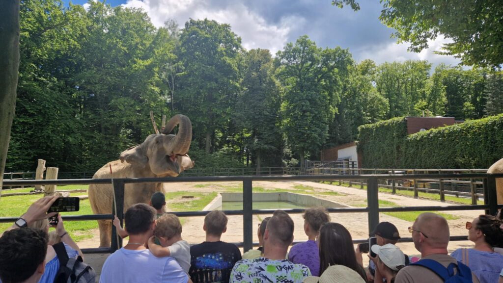 523364403 1247092863877859 1903341181793719047 N