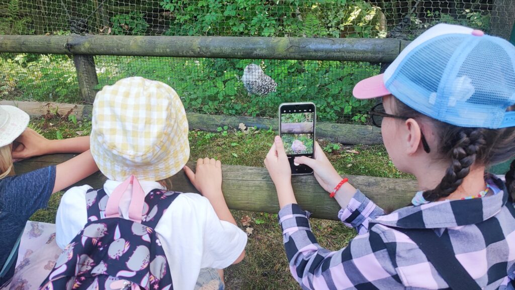 523367681 1247096797210799 7728205762036458186 N