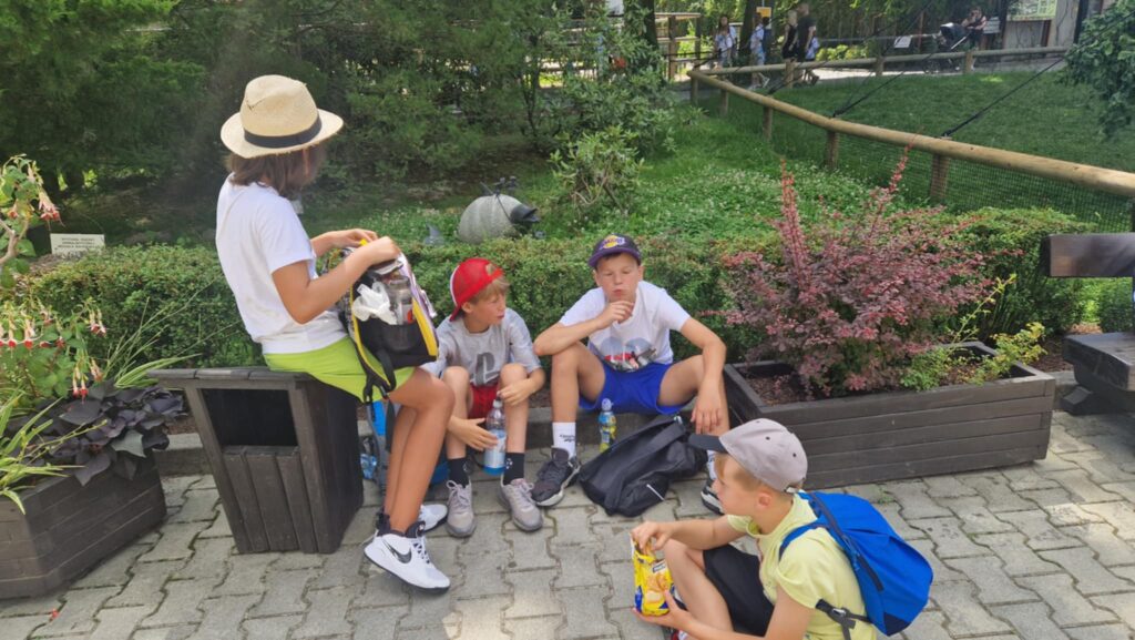 523377923 1247091530544659 3115107583851868272 N