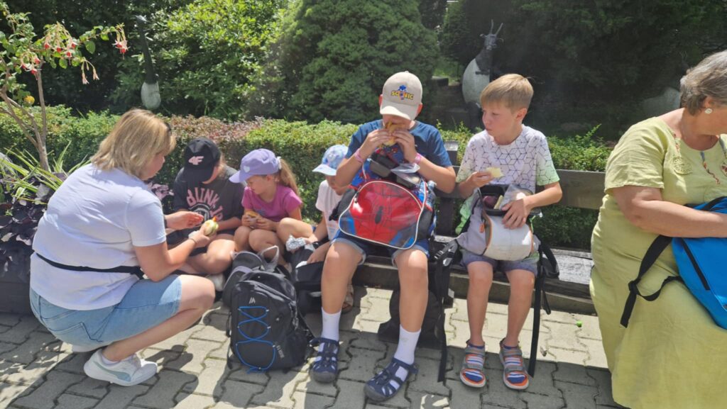 523783740 1247091330544679 8584495680296590797 N