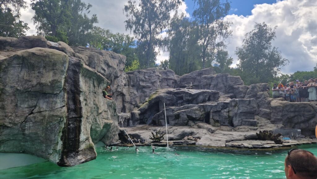 523847306 1247094580544354 4045987526262463075 N