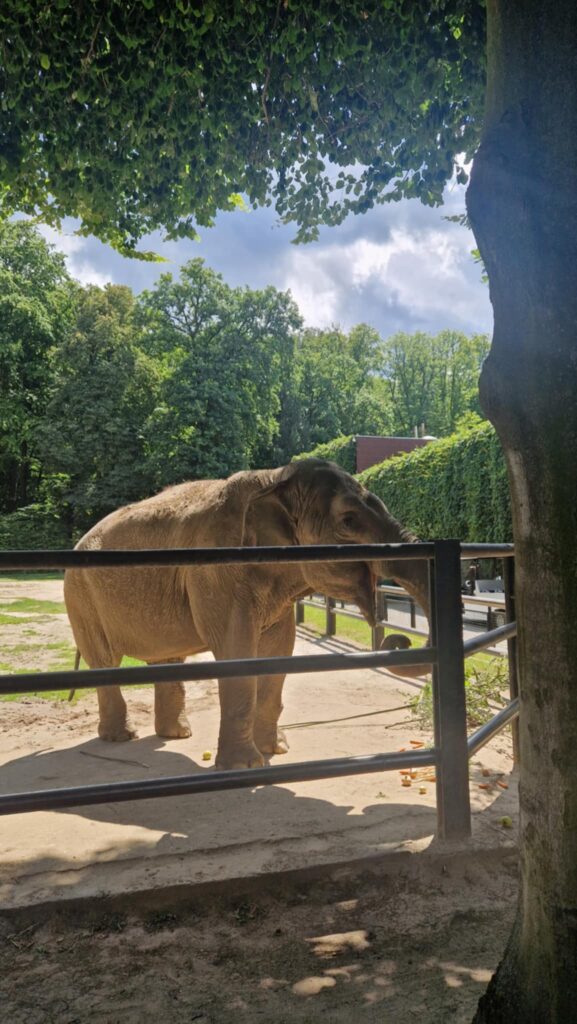 524218423 1247094027211076 5990843675139908488 N