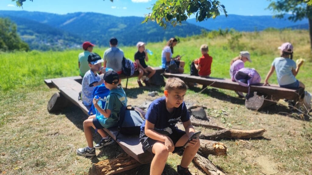 535733194 1269574841629661 849843606057775435 N