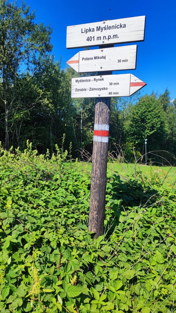 536105013 1269574744963004 4198707026208775475 N